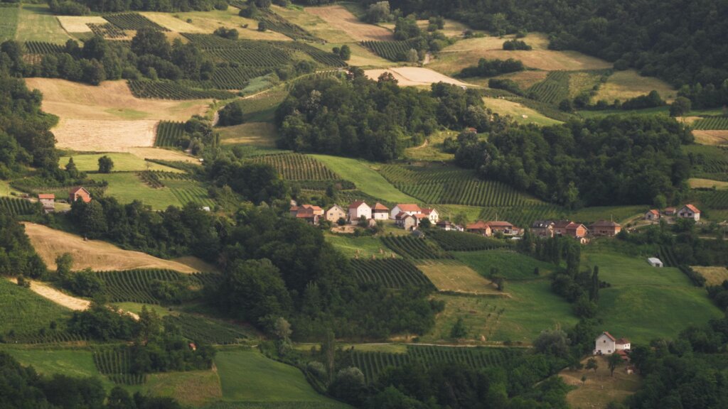71. Martovski festival: Selekcija dokumentarnog filma preko 50 minuta 4