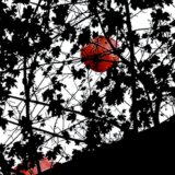 Promocija romana „Tamnavska depresija” Milana Pece Nikolića u kragujevačkoj Narodnoj biblioteci 9