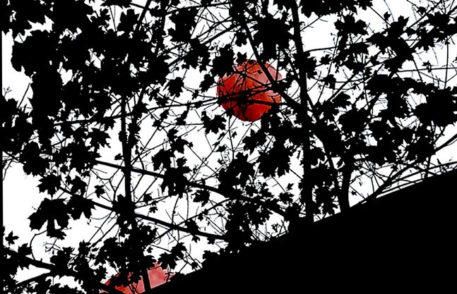 Promocija romana „Tamnavska depresija” Milana Pece Nikolića u kragujevačkoj Narodnoj biblioteci 1