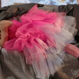 Staklena menažerija