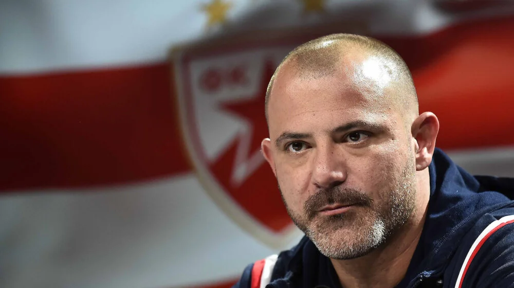 Dejan Stanković, FK Crvena zvezda