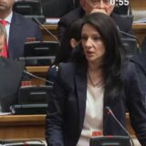 Tepić (SSP) u Skupštini Srbije: Zakonske izmene - smokvin list za izbornu krađu u decembru 6