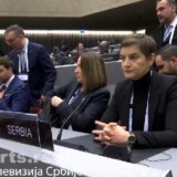 Brnabić u Ženevi: NATO agresija na SRJ opasan presedan, mir zavisi od poštovanja međunarodnog prava 10