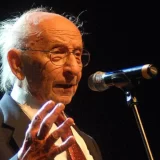 Vojislav Bubiša Simić