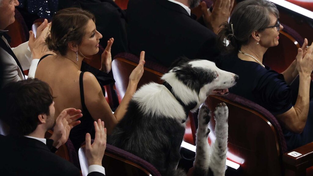 Šta su nam pokazale zvezde i oskarovci na 96. dodeli najpopularnije filmske nagrade: Oskarovski trend cenzure i autocenzure 2 Šta su nam pokazale zvezde i oskarovci na 96. dodeli najpopularnije filmske nagrade: Oskarovski trend cenzure i autocenzure 2
