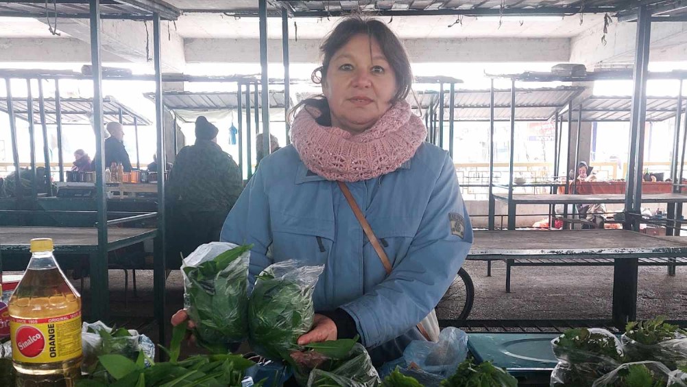 "Ove godine, priroda je bila darežljiva, pa nam je ovo zeleno blago dala petnaestak dana ranije": Sremuš ove godine stigao pre roka 3