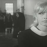 milena dravić jutro