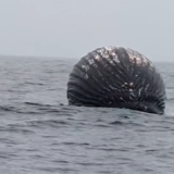 "Ribar sam 27 godina i nikada nisam video ovo": Norvežanin otkrio šta je crna kugla koju je ugledao u vodi 5