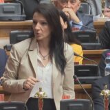 Marinika Tepić Stojanu Radenoviću: Iskreno sam zabrinuta za vas 7