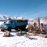 Zbog ekstremne hladnoće u Mongoliji uginulo skoro pet miliona grla stoke 7
