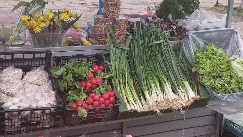 Vidin nekad i sad: Svedočenje propadanja jednog grada i sećanje na njegovu istoriju (FOTO) 12