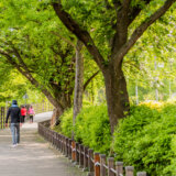 Ovoliko koraka dnevno ubrzava metabolizam, smanjuje šećer i krvni pritisak 5