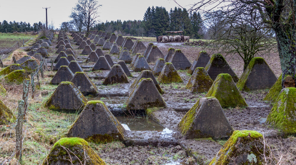 Ukrajinci kopirali čuvenog ruskog generala: “Postavljamo zid smrti sa 42.000 zmajevih zuba” 1