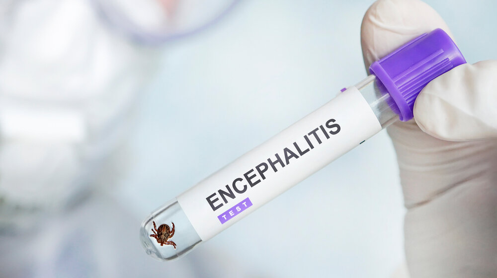 Nemački grad poslao upozorenje zbog opasne virusne bolesti 1