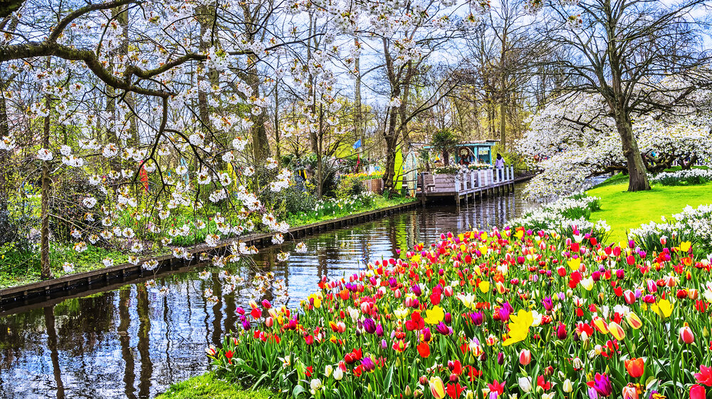 keukenhof vrt lala