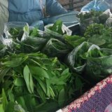 "Ove godine, priroda je bila darežljiva, pa nam je ovo zeleno blago dala petnaestak dana ranije": Sremuš ove godine stigao pre roka 5