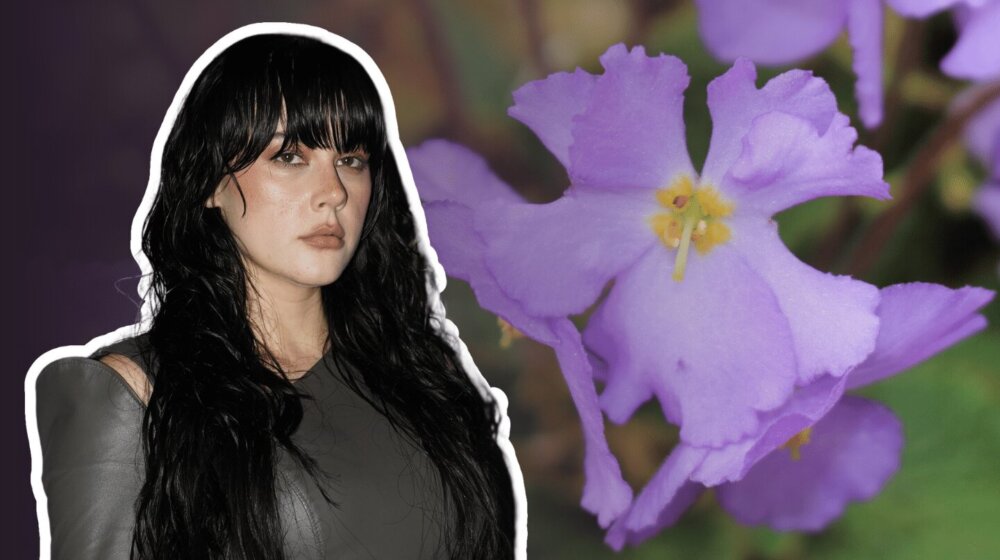 Šta simbolizuje Natalijina ramonda, cvet o kom peva Teya Dora na takmičenju Pesma za Evroviziju 1