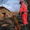 Ko je pas Zigi: Spasavao živote u Turskoj, sada traga za nestalom devojčicom u Banjskom polju (FOTO) 12