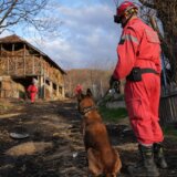 Ko je pas Zigi: Spasavao živote u Turskoj, sada traga za nestalom devojčicom u Banjskom polju (FOTO) 7