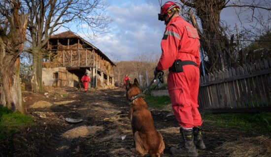 Ko je pas Zigi: Spasavao živote u Turskoj, sada traga za nestalom devojčicom u Banjskom polju (FOTO) 6
