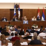 Kako su manjine prošle u beogradskoj kampanji: Proveleggios (Grčka stranka) i Mihajlović (Unija Roma Srbije) odgovaraju hoće li nakon izbora sa SNS-om ili sa opozicijom 3