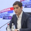 Ana Brnabić: Nije "istorijska izborna krađa" nego alibi za poraz 9