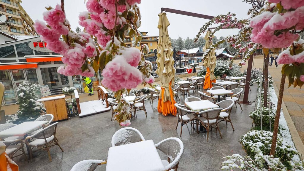 (FOTO) U Šapcu, Kosjeriću, na Zlatiboru i Tari pada sneg: Pogledajte fotografije "belog aprila" 2