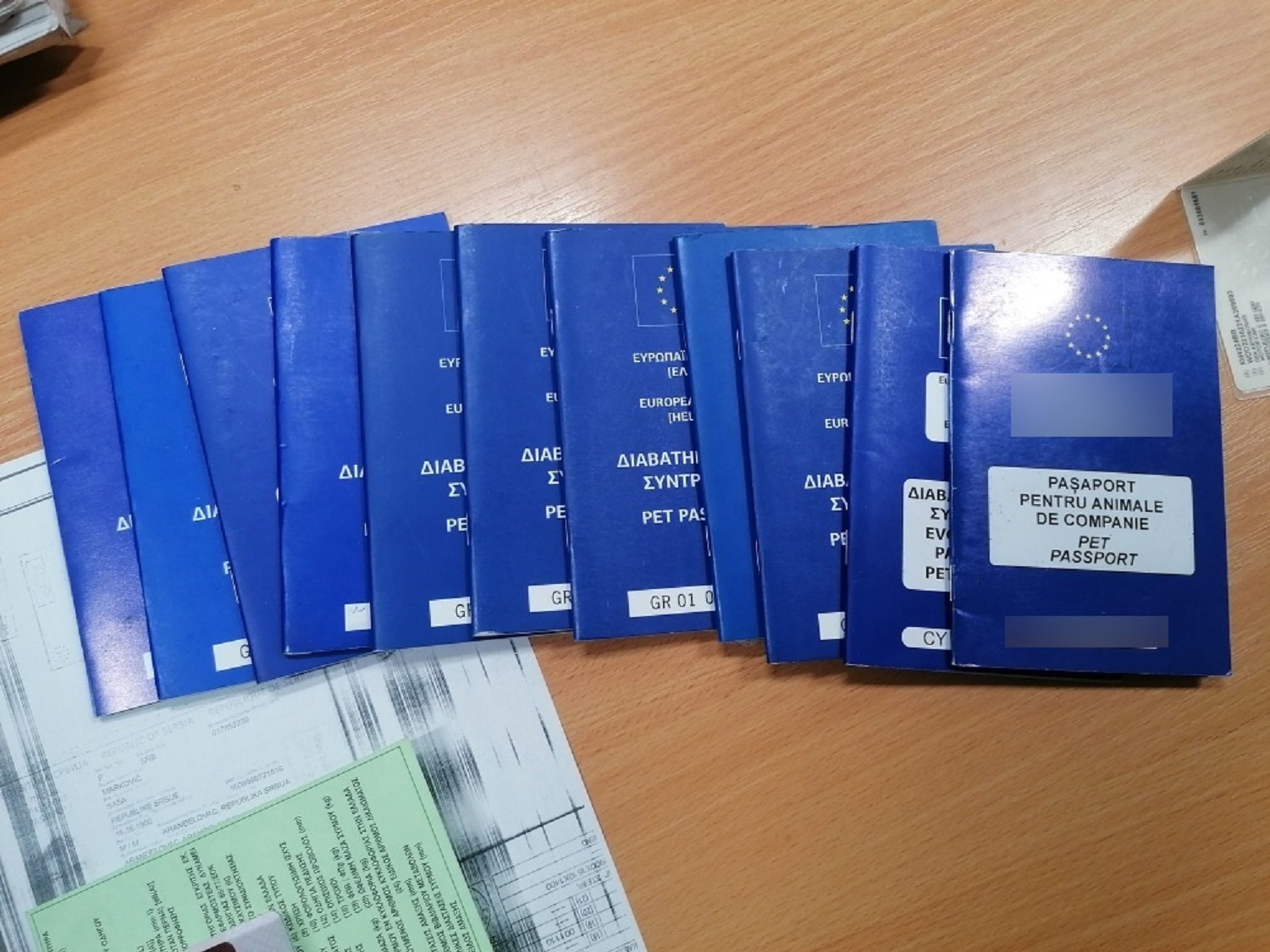 Sprečen šverc 21 rasnog psa 2