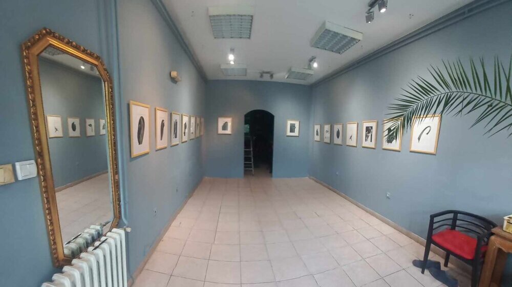 Izložba crteža Veselina Brkovića u Novom Sadu: "Osetljivost za statiku i dinamiku tela" 1