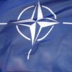 Kongresmen Tores: Zalagaću se da Kosovo uđe u NATO 12