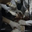 "Lekari uspeli da spasu bebu koju je ubijena žena nosila": U izraelskim udarima na Rafu stradalo 13 osoba 12