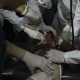 "Lekari uspeli da spasu bebu koju je ubijena žena nosila": U izraelskim udarima na Rafu stradalo 13 osoba 5