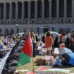 Demonstracije u znak podrške Palestini na američkim fakultetima 14