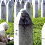 Šta je smisao rezolucije o Srebrenici? 6