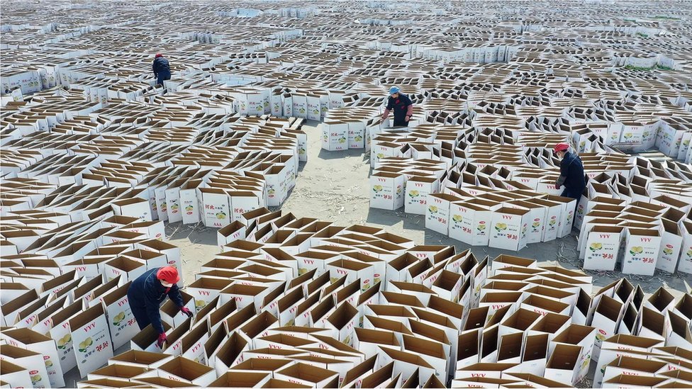 Poslovi koji ne mogu da se odreknu papira 4 karton, papir, kartonske kutije