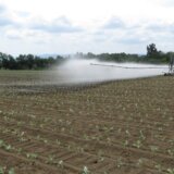 Poljoprivreda: Zašto je Srbija na svetskom dnu u navodnjavanju 7