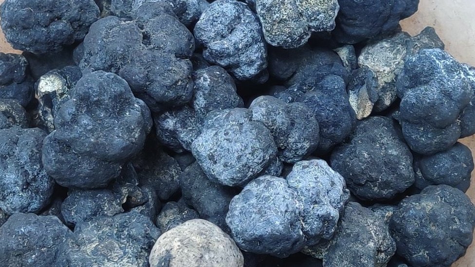 Rudarenje u morskim dubinama: Trka za kritičnim mineralima zbog prebacivanja na čistu energiju 2 In 2022, India collected some polymetallic nodules from the Indian Ocean as part of a trial