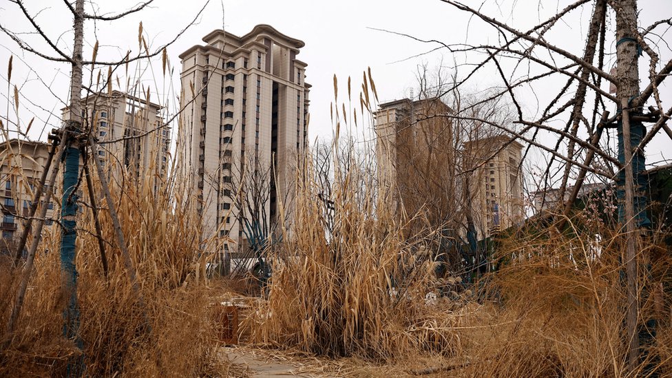 Šiblje ispred nezavršenih stambenih zgrada u provinciji Hubeji, Kini (februar 2024)