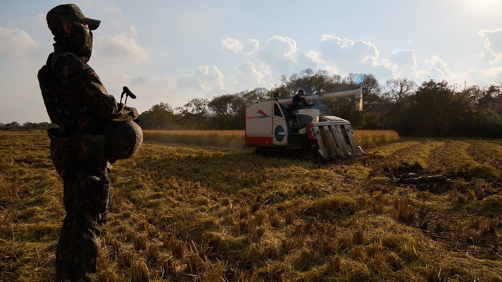 Južna Koreja i Severna Koreja: Selo Slobode i selo Mira - razdvaja ih nekoliko metara i potpuno drugačiji život 5 Soldier in a field guards farmer