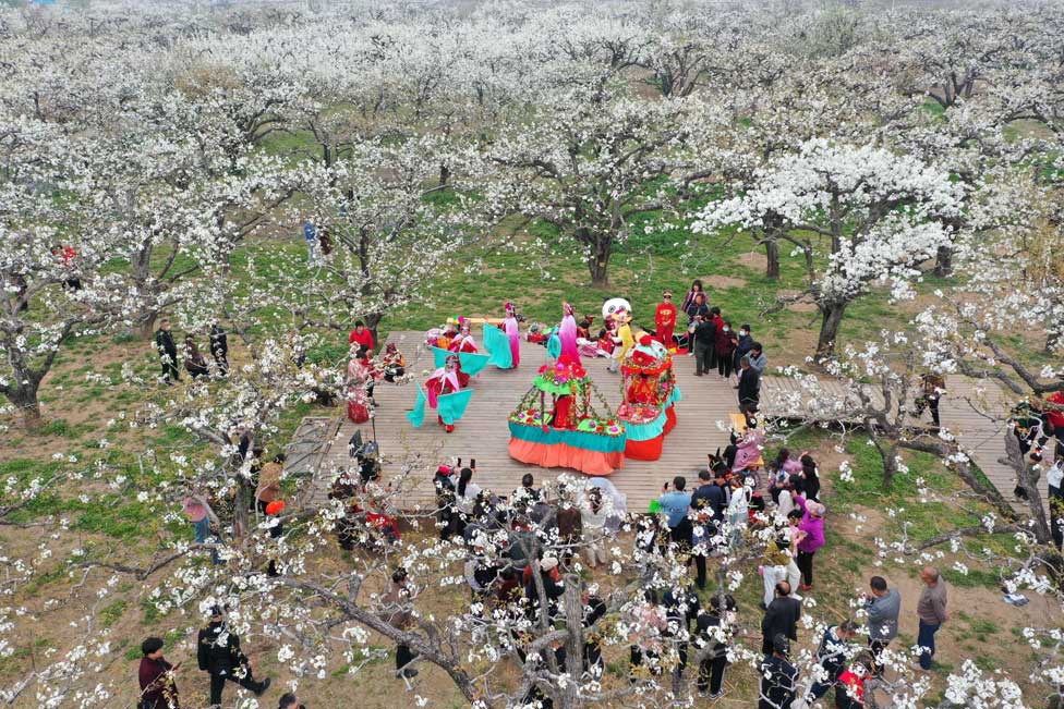 Tourists watching a folk art performance among pear blossoms in Dangshan, east China's Anhui Province.
