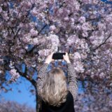 Proleće je stiglo: Prelepi prizori cvetanja u fotografijama 6