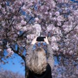 Proleće je stiglo: Prelepi prizori cvetanja u fotografijama 8