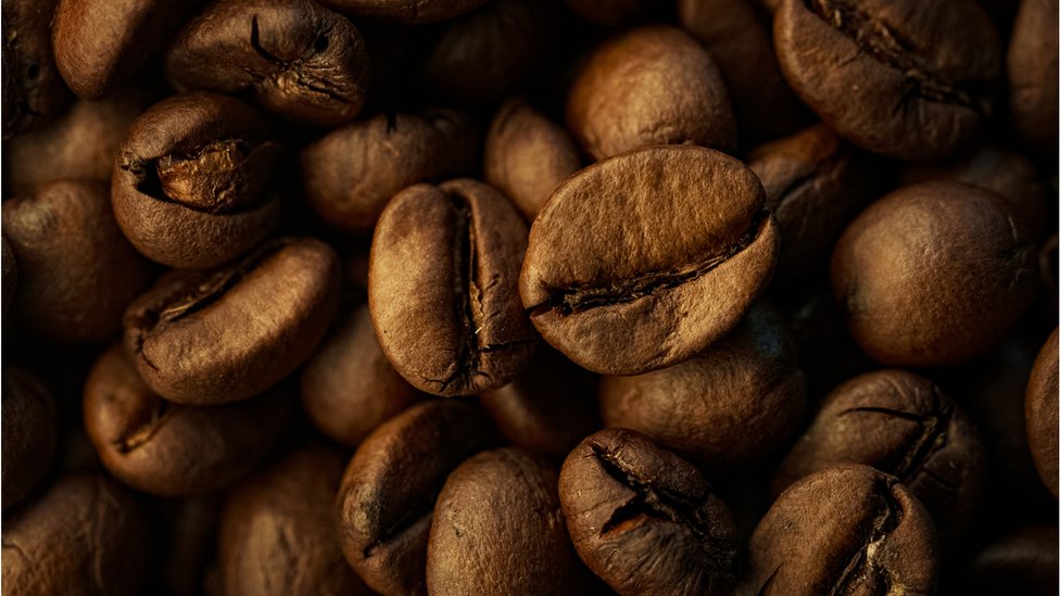 Kako je kafa postala omiljena psihoaktivna supstanca u svetu 2 Coffee beans