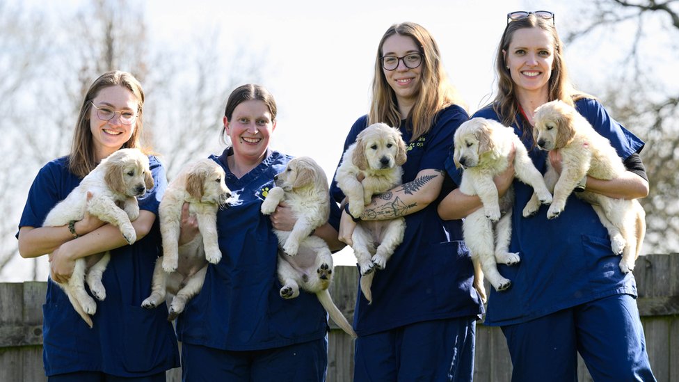 four women hold six puppies