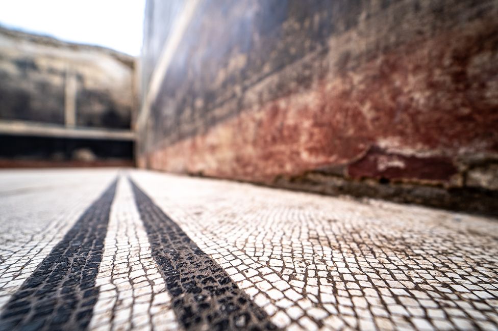 Arheologija i istorija: U drevnom gradu Pompeji pronađene freske koje oduzimaju dah 10 U mozaičkom podu sigurno ima više od milion pločica, moguće i do tri miliona