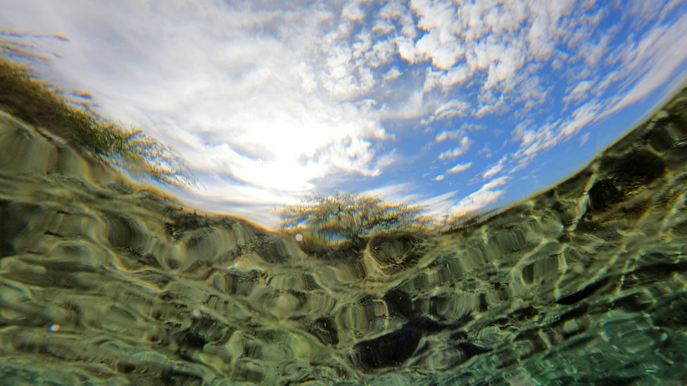 Šta je Dan planete Zemlje i šta je postigao 4 voda