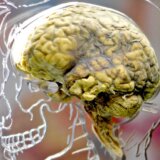 Mladi u Srbiji i mentalno zdravlje: Šta je digitalna demencija i može li se sprečiti 6