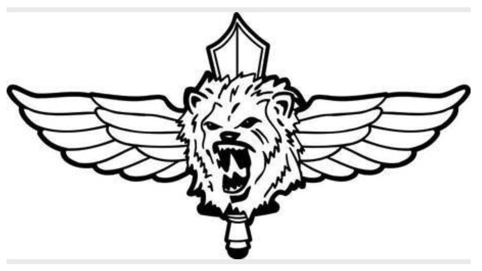 Netzah Yehuda Brigade logo