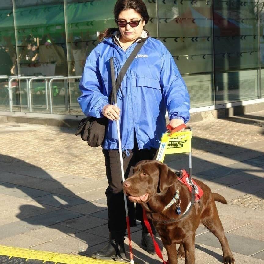 Zašto u Srbiji nema pasa vodiča 4 pas vodič