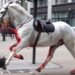 Pomahnitali konji jurili centrom Londona, povredili nekoliko ljudi 1